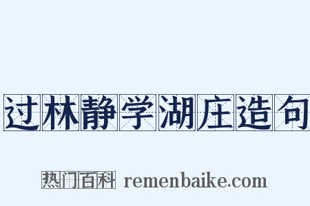 过林静学湖庄造句是什么意思的图片